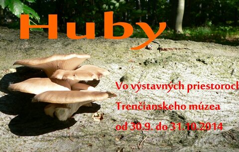 Huby Huby