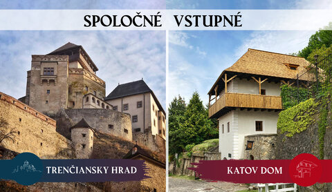 Spoločné vstupné