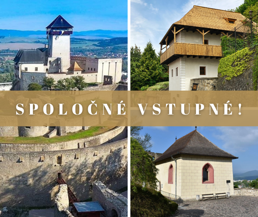 Spoločné vstupné