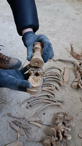 Archeologický nález v kláštore na skalke pri trenčíne - 8482fd60-0d28-4ad8-85ec-06b5f723c0ee