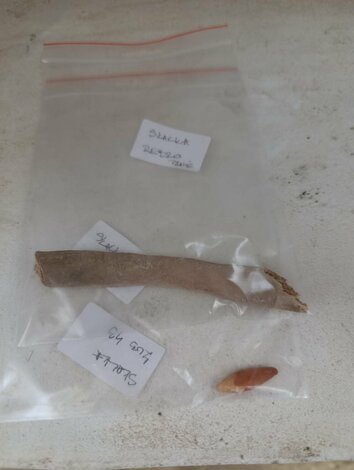 Archeologický nález v kláštore na skalke pri trenčíne - a3ba0acd-8438-4b81-a6b3-0c7b1d6f9552