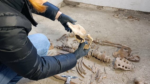 Archeologický nález v kláštore na skalke pri trenčíne - cb6b863b-265c-45d8-93bd-e86091cef946