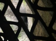 Trenčín 2026: vernisáž výstav súčasného umenia - IMG_5627