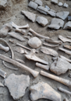 Unikátny archeologický nález - keltská obetná jama na trenčianskom hrade - 4