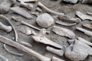 Unikátny archeologický nález - keltská obetná jama na Trenčianskom hrade